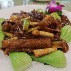 Gejimenbing (jingyilu) User Photo