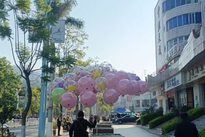 七港九（鹽邊店）