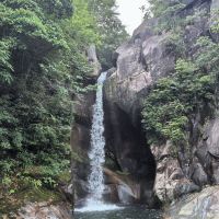 評論圖片 1