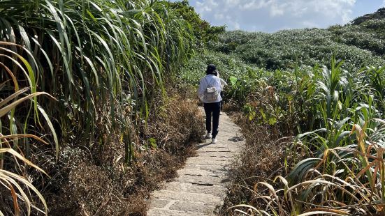 东极岛里面最美最有趣味的一座岛，比传统的爬山要稍微舒服点，有