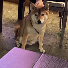 No Social 無社交（天德廣場店）張用戶圖片