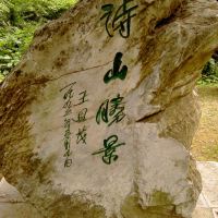 評論圖片 1
