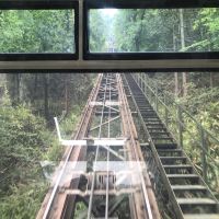 評論圖片 9