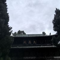 評論圖片 2