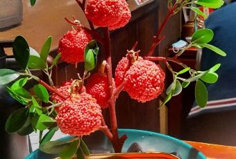 長安大牌檔之陝歷博文化餐廳（賽格旗艦店）張用戶圖片