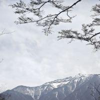 評論圖片 2