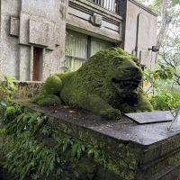 評論圖片 7