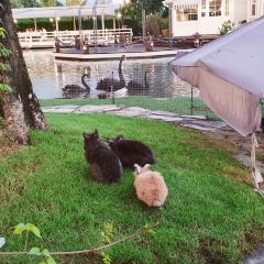 Baan Nam Kieng Din User Photo