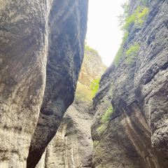 众鑫莜面村 User Photo