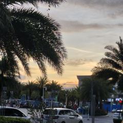 椰小雞·椰子雞（神州半島店）張用戶圖片