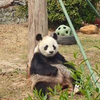 評論圖片 7