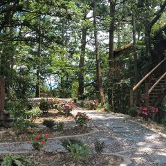 一山树屋咖啡营地 User Photo