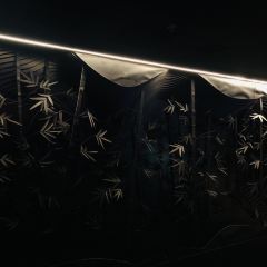 FONG SENSE User Photo