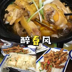 醉春风 User Photo