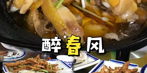 醉春風