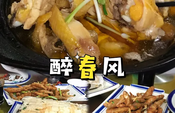 醉春風