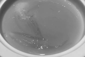 XIN RONG JI User Photo