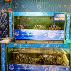 良友·青島菜(五四廣場店)張用戶圖片