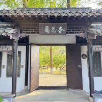 評論圖片 6