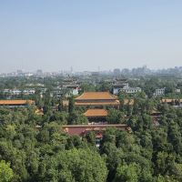 評論圖片 3