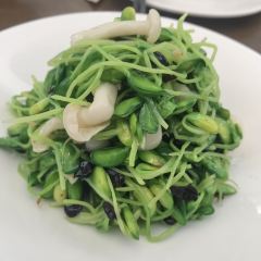 福源沁(静安店) User Photo