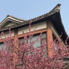 荻港渔庄 User Photo