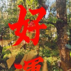 鸟鸣涧森林餐厅·野生菌–自然之味 여행 사진