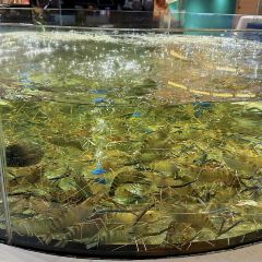 COURMET STATE FISHING VILLAGE 여행 사진