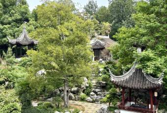 JUBILEE GARDEN user photo