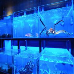壹家海派老火锅(爱建店) User Photo