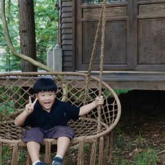 桃仚居張用戶圖片