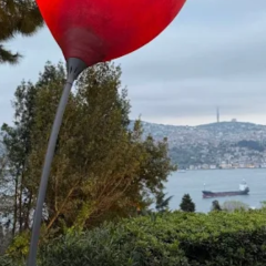 Sunset Grill & Bar User Photo