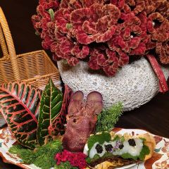 YAMA TSUKI 여행 사진