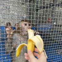 評論圖片 4