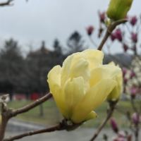 評論圖片 9