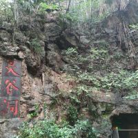 評論圖片 1