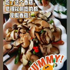 鹿栖园餐厅 User Photo