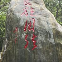 評論圖片 9