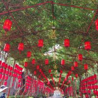 評論圖片 2
