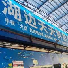 湖边天天鲜鱼馆 User Photo
