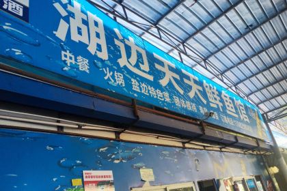 湖边天天鲜鱼馆