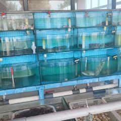 老太太海鮮城（森林公園任家台店）張用戶圖片