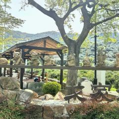 书香世家树山温泉度假酒店(树山店) User Photo