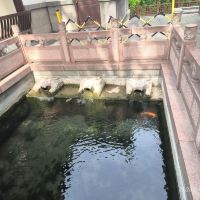 評論圖片 2