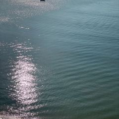 小徑灣艾美酒店·北緯22大堂吧張用戶圖片