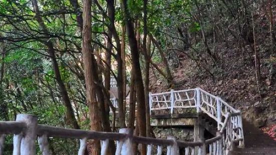 银瓶山森林公园位于东莞市东部，谢岗镇境内，总面积为2518.