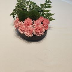 一味清欢·文房 User Photo