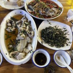 Xiangweitucaihuoyuguan (shinianlao) User Photo
