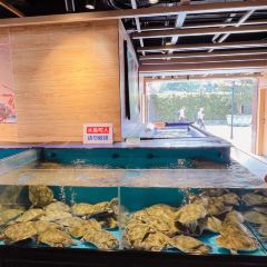 南海渔村(孔雀楼店) User Photo