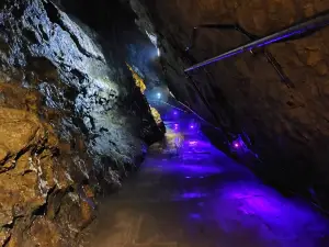 Moutai Town Shenlong Cave